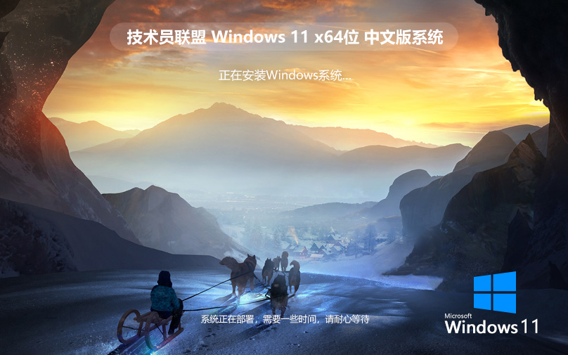 技術員聯盟win11專業版 ghost系統 x64位經典版下載 筆記本專用